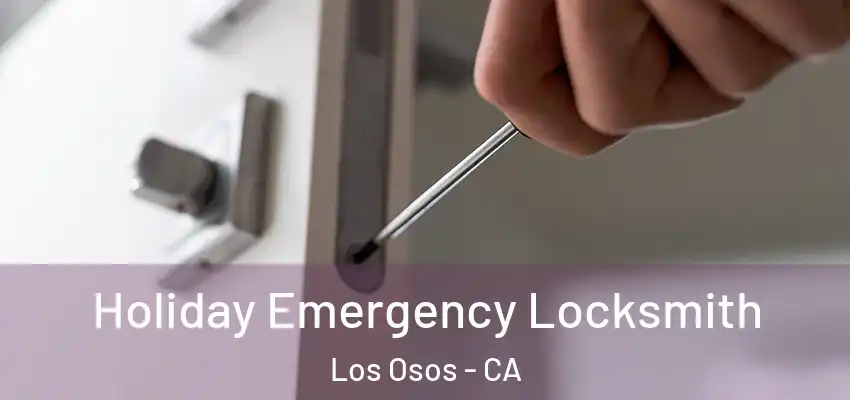  Holiday Emergency Locksmith Los Osos - CA