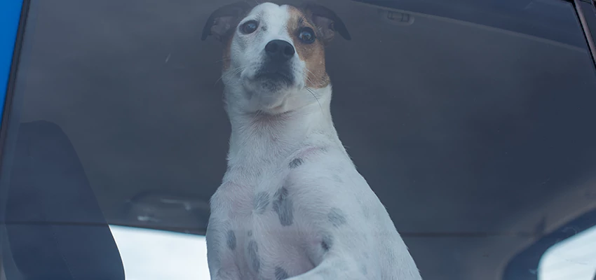 Car Lockout Solutions in Los Osos, California